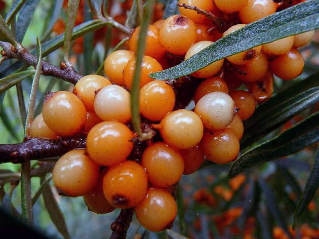 Кто сможет схватить удачу за хвост в сентябре 2023 года: астролог назвал три знака Зодиака