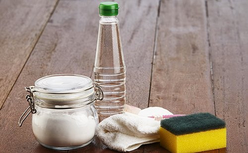 Как избавиться от мошек на кухне и в квартире: 5 действенных методов