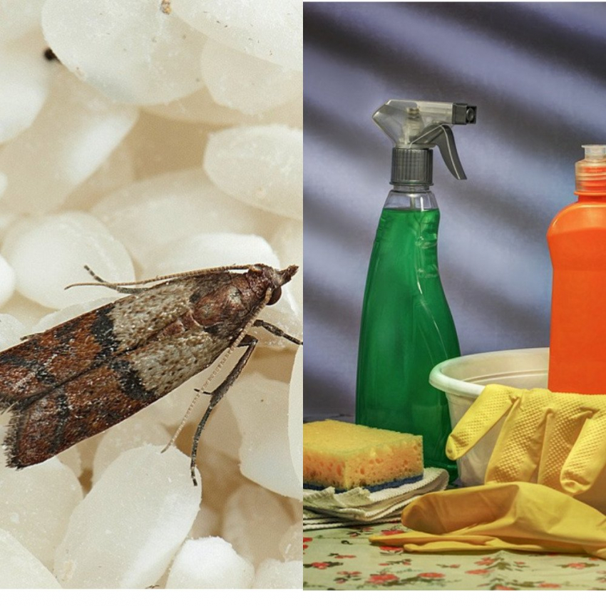 Кто сможет схватить удачу за хвост в сентябре 2023 года: астролог назвал три знака Зодиака