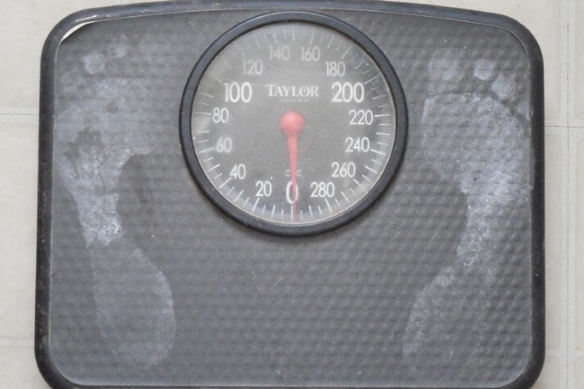 Ученые: Хитин необходим в рационе для борьбы с лишним весом