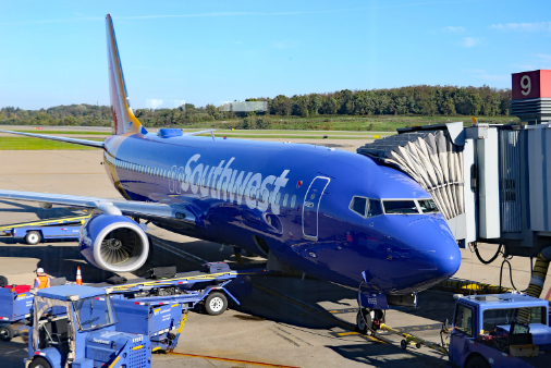 В США женщину сняли с рейса из-за того, что она погладила щенка пред вылетом