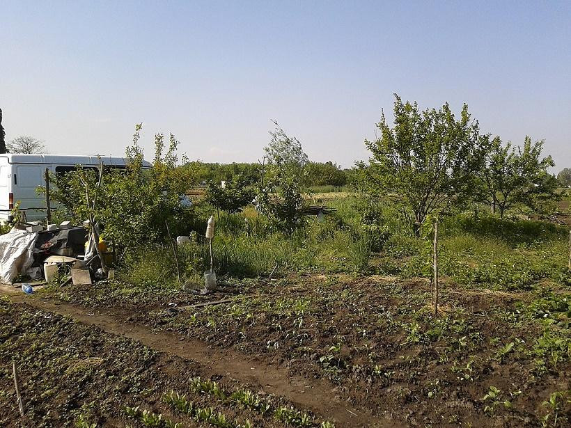 Юрист Бондаревич предрекла споры из-за нового закона о дачах в России