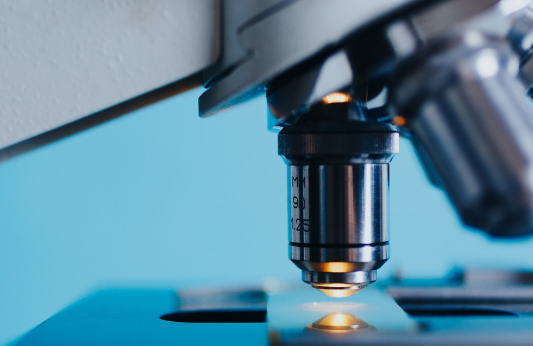 Вирусолог Волчков предупредил о создании синтетического вируса оспы