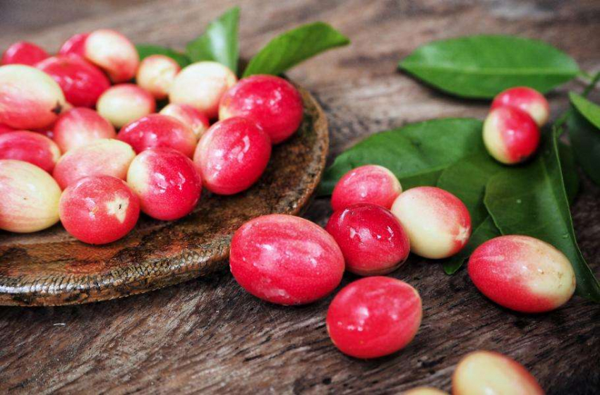 Пища для здоровья: На какие культуры следует обратить внимание, а каких избегать?